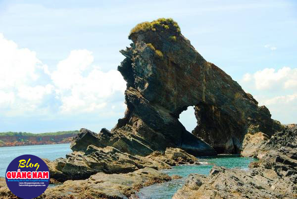 Ảnh: Nguyễn Thanh Sơn